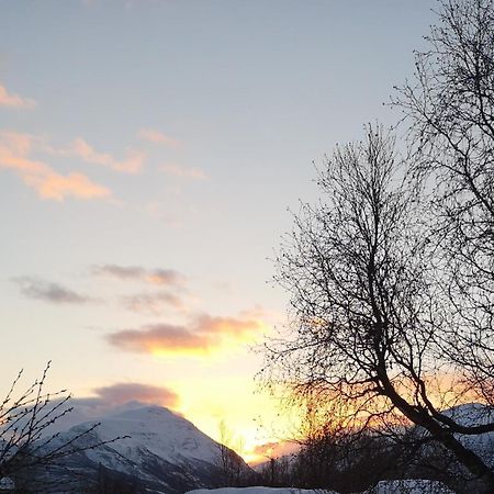 Best No1 Manndalen Bagian luar foto