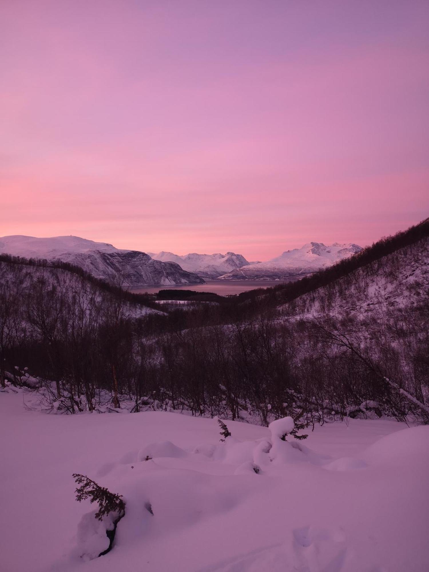 Best No1 Manndalen Bagian luar foto