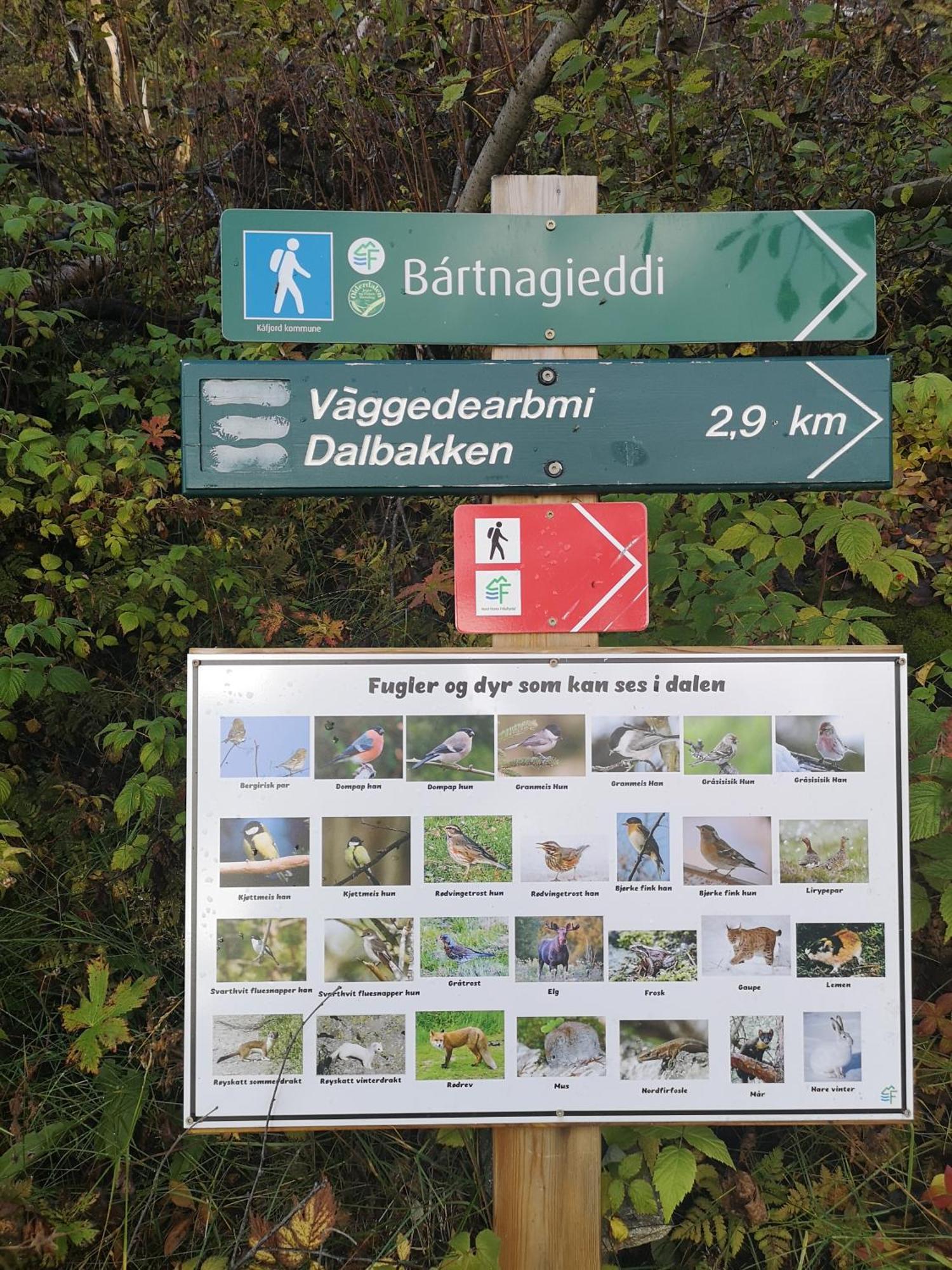 Best No1 Manndalen Bagian luar foto