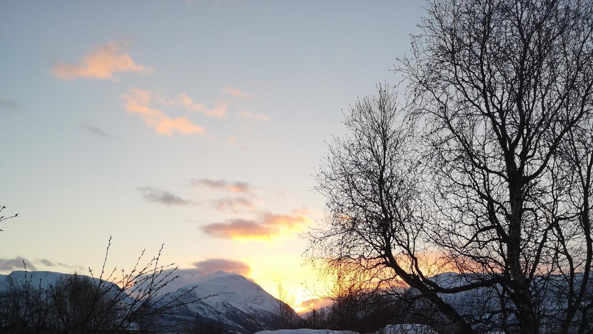 Best No1 Manndalen Bagian luar foto